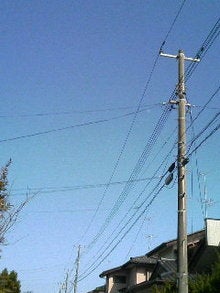 080315_1342~01.JPG