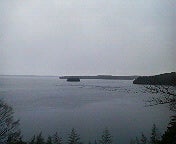 ハチの日記-200901010848000.jpg