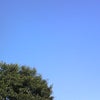 何日ぶりだろうかの画像