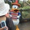 夢の国（大人Var')の画像