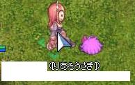 [だぶるうさぎ]