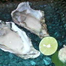 2008110200130000.jpg