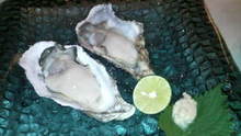 2008110200130000.jpg