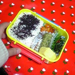 目指せ活イカ!!(・∀・)-090216_2140~01.JPG