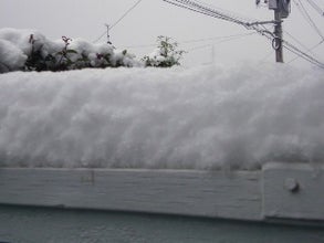 妄想日記★+.-090125_0937~01.jpg