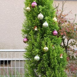 シェルピンクな暮らし～