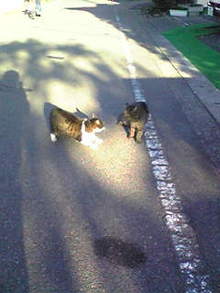Image003.jpg