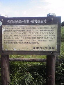 2008082815130000.jpg