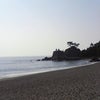 桂浜の画像