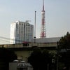 今日はご機嫌♪の画像