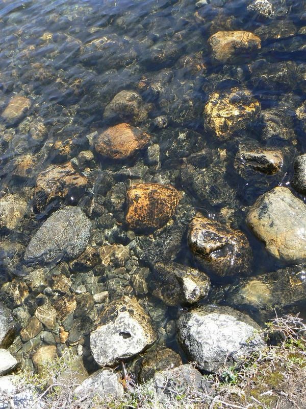 水