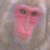 ☆毎日がスペシャル☆の画像