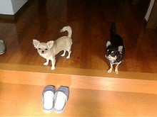 20080818150911.jpg