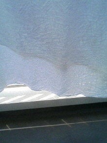 080630_1231~01.JPG