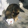 2009.2.8の画像