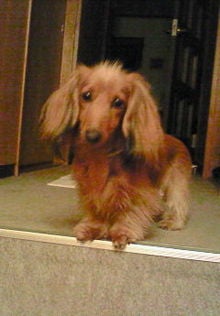 NEC_0106.jpg