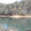 散歩日和(^_^)vの画像