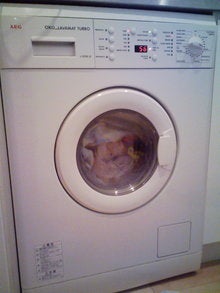 Kuro`s　room-20081207140432.jpg