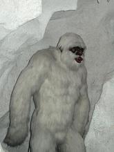 日焼けしているけど、雪男かな～？