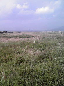 2008090713450000.jpg