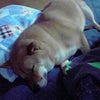 明日は～♪の画像