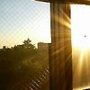朝日の画像