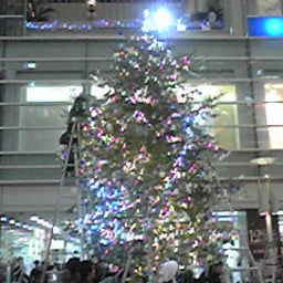 画像 2008年冬がやってきた!? の記事より