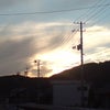 きれい！・・・かもの画像