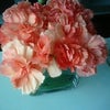 花束〜変身⑥の画像