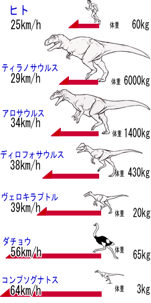 恐竜の走る速度