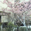 春のおとずれ。の画像