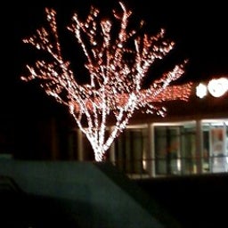 画像 すっかりクリスマス の記事より
