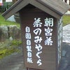 今日はオフ♪の画像
