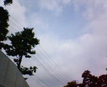 200606041010000.jpg