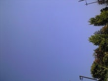 CA390238.JPG