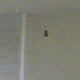 081112_072148.jpg