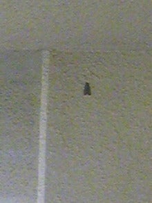 081112_072148.jpg