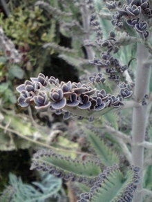 2008082209560000.jpg