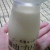プリンの画像