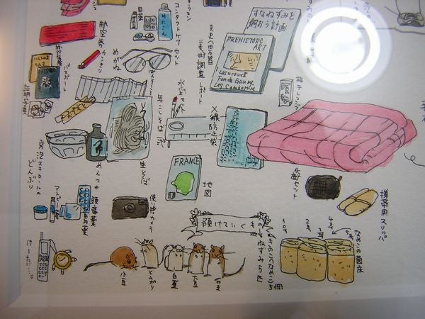 こんなものを