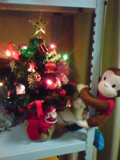 我的日記＠cute_monkey-20081222211107.jpg