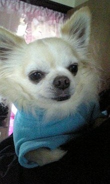071203_092435.jpg
