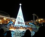 ☆萌のHappy Life☆-081225_172512.jpg