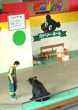 くま２