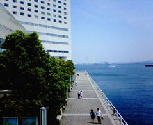200705051116000.jpg