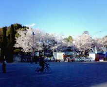 200703111630000.jpg