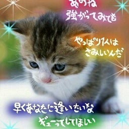 ☆好きだから… ハチ公物語☆-744af09c362a1a5138d0150a1cf603e1.jpg