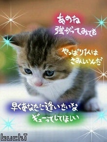 ☆好きだから… ハチ公物語☆-744af09c362a1a5138d0150a1cf603e1.jpg