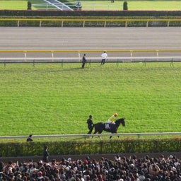 ウオッカ返し馬