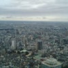 幸せな一日の続き…の画像